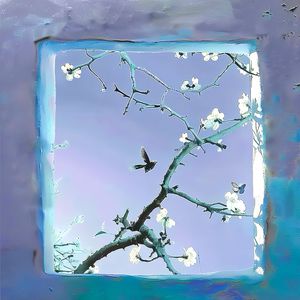 小箩莉XXX在线观看
