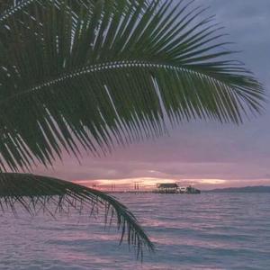 小箩莉XXX在线观看
