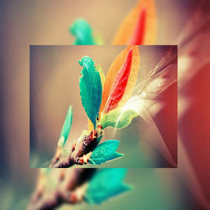 小箩莉XXX在线观看
