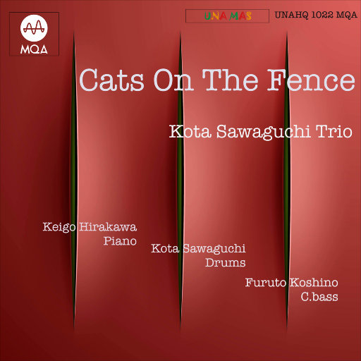 小箩莉XXX在线观看
